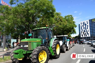 (Fotó: Dávid Csilla)