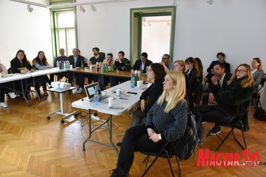A kerekasztal-beszélgetésen a műemlékvédelmi intézet elképzeléseit is ismertették (Molnár Edvárd felvétele)