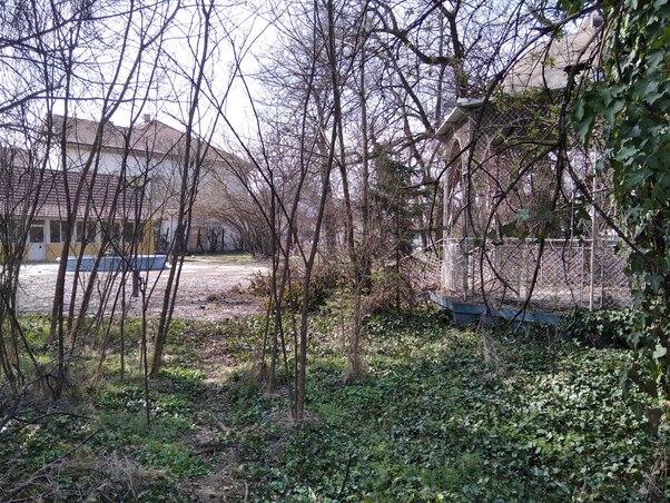 A Kastélypark egykori bejárata a kisajátítások következményeként magánkézbe került: az itt elhelyezkedő zenepavilon és szökőkút is romlásnak van ítélve, a fák és a növényzet rendezésére azonban sikerült engedélyt szerezni (Fotó: Tóth D. Lívia) A Kastélypark egykori bejárata a kisajátítások következményeként magánkézbe került: az itt elhelyezkedő zenepavilon és szökőkút is romlásnak van ítélve, a fák és a növényzet rendezésére azonban sikerült engedélyt szerezni (Fotó: Tóth D. Lívia)