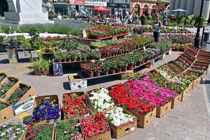 Hosszú kihagyás után, ismét virágpiac nyílt a város központjában