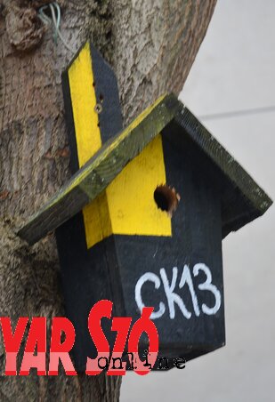 (Fotó: Dávid Csilla felvétele) (Fotó: Dávid Csilla felvétele)
