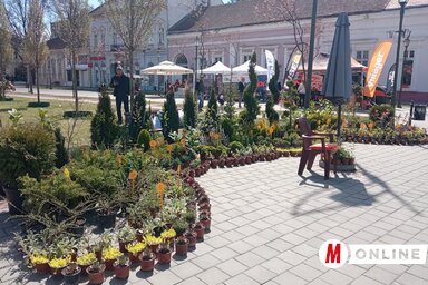 (Fotó: Kancsár Izabella)