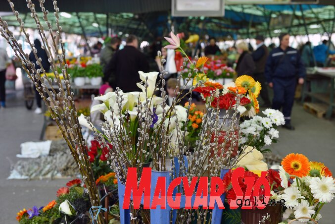 A barka ára nagyságtól függően 50 és 250 dinár között alakul (Fotó: Molnár Edvárd) A barka ára nagyságtól függően 50 és 250 dinár között alakul (Fotó: Molnár Edvárd)