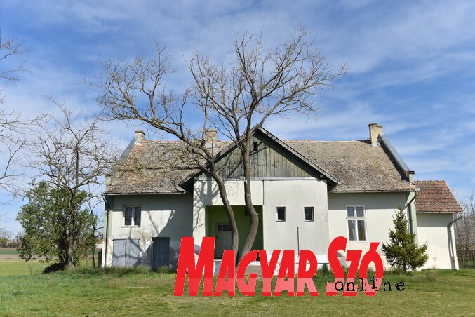 A ház a három ludasi civil szervezetnek ad otthont (Fotó: Molnár Edvárd) A ház a három ludasi civil szervezetnek ad otthont (Fotó: Molnár Edvárd)