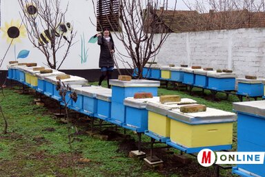 A méhészek is jobb évet remélnek (Kecskés István felvétele)