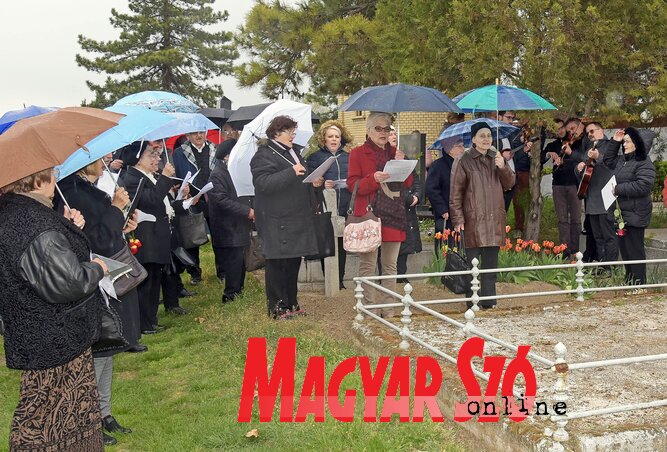 Fotó: Gergely Árpád Fotó: Gergely Árpád