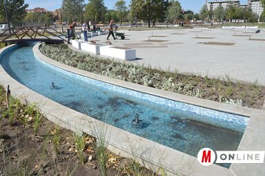 Az új öntözési módszer a városi parkokban is alkalmazható, noha ezekben a földbe leásott öntözőcsőrendszerek végzik a fák tápanyag-utánpótlását (Fotó: Ótos András felvétele)