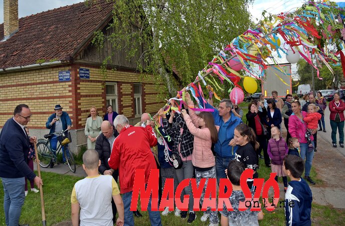 Gyerekek díszítették fel a zentai májusfát Gyerekek díszítették fel a zentai májusfát