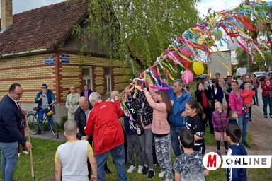 Gyerekek díszítették fel a zentai májusfát