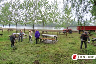 Munkaakció az adai Tisza-parton (Csincsik Zsolt felvétele)