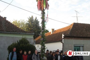 A partiak májusfája (Fotó: Kecskés István felvétele)