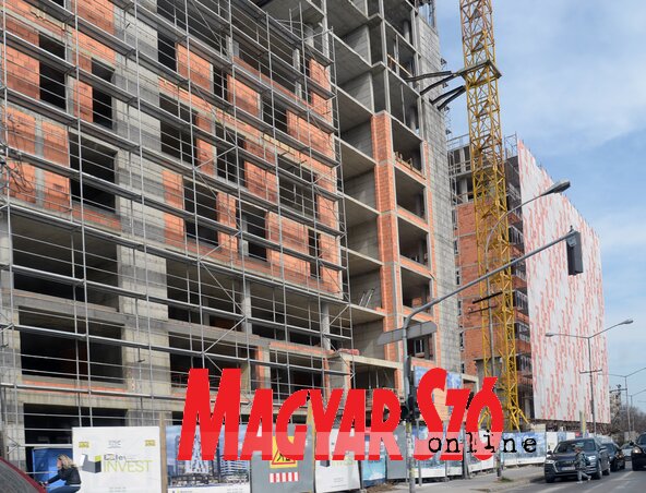 (Fotó: Dávid Csilla)