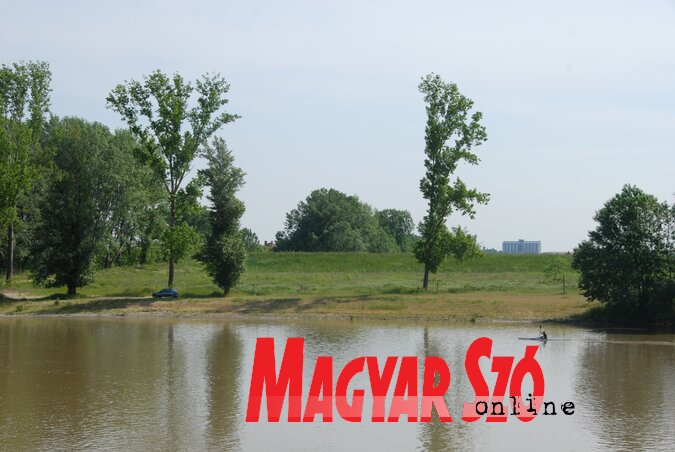 Néhány éve sűrű erdő borította a strand mögötti területet (Fotó: Horváth Attila) Néhány éve sűrű erdő borította a strand mögötti területet (Fotó: Horváth Attila)