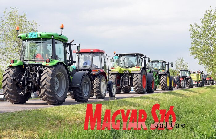 Magyar Szó/Archív Magyar Szó/Archív