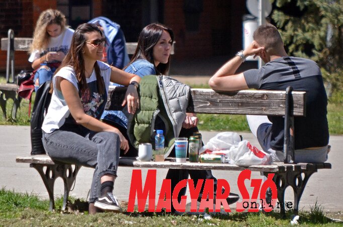 Fürdőzés a napsütésben (Fotó: Ótos András)