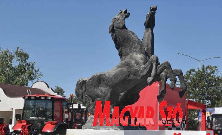 A vásár szökőkútjával szemben levő dobozba kell bedobni a belépőjegyeket (Fotó: Ótos András)