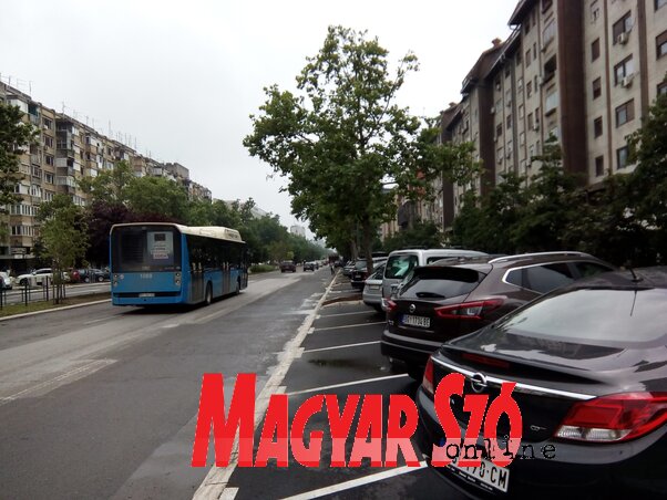 Újabb parkolókat újítottak fel a Felszabadulás sugárúton, a munkálatok összértéke 16 millió dinár (Fotó: Szeli Balázs felvétele) Újabb parkolókat újítottak fel a Felszabadulás sugárúton, a munkálatok összértéke 16 millió dinár (Fotó: Szeli Balázs felvétele)
