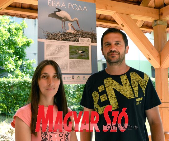 Aleksandra és Slobodan tevékenységükkel nagyban hozzájárulnak a gólyák élőhelyének megőrzéséhez is (Dávid Csilla felvétele)