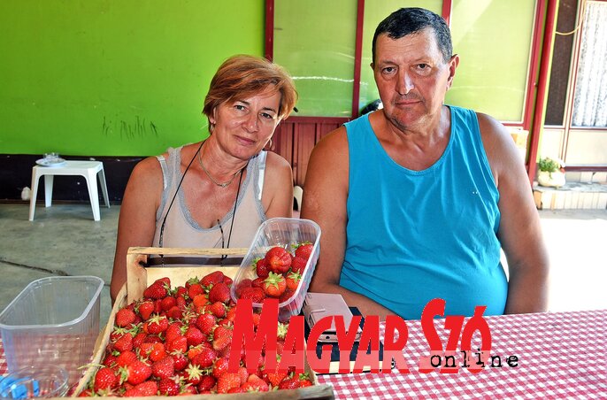 Mária és Mátyás (Fotó: Gergely Árpád) Mária és Mátyás (Fotó: Gergely Árpád)