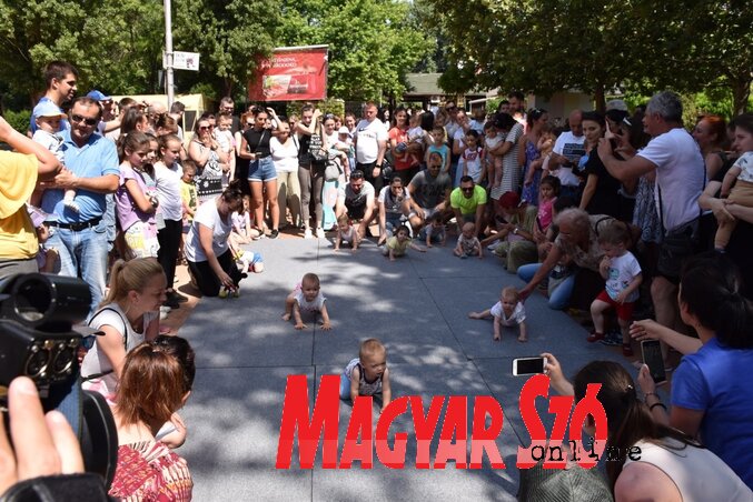 Mindenki jól érezte magát a hétvégén megtartott Sport mindenkinek elnevezésű rendezvényen (Fotó: Ótos András felvétele) Mindenki jól érezte magát a hétvégén megtartott Sport mindenkinek elnevezésű rendezvényen (Fotó: Ótos András felvétele)