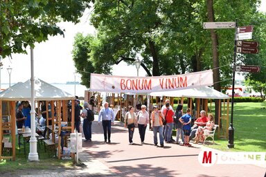 A borutca Palicson (Molnár Edvárd felvétele)