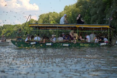 Hamarosan megkezdődik a Tisza virágzása (Fotó: Gergely József)