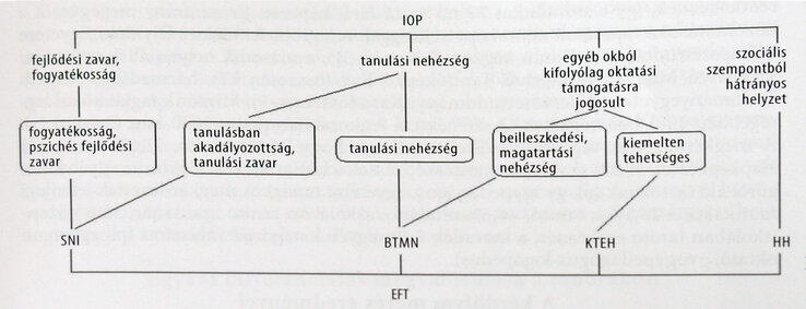 IOP-kisokos