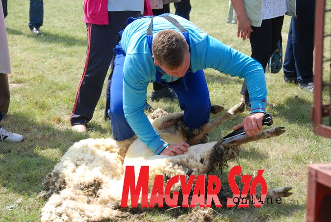 A verseny győztese (Fotó: Horváth Attila) A verseny győztese (Fotó: Horváth Attila)