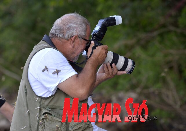 A néhai Jaroslav Pap újvidéki fotóriporter két éve még fotózta a tiszavirágzást (Fotó: Gergely József) A néhai Jaroslav Pap újvidéki fotóriporter két éve még fotózta a tiszavirágzást (Fotó: Gergely József)
