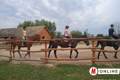 A temerini lovastáborban kis csoportokban zajlik a munka (Garbac Sarolta felvétele)