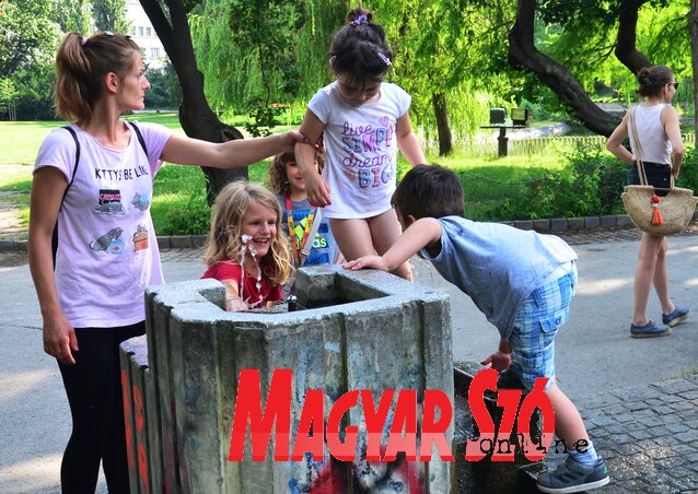 Újvidéken folyamatos a népesség növekedése, főként fiatalok költöznek a városba (Dávid Csilla illusztrációja)