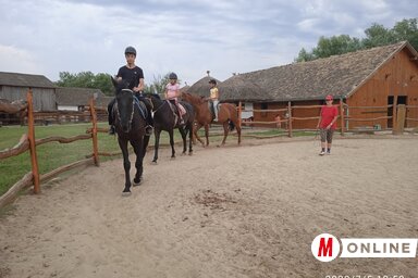 A temerini lovastáborban kis csoportokban zajlik a munka (Fotó: Garbac Sarolta)