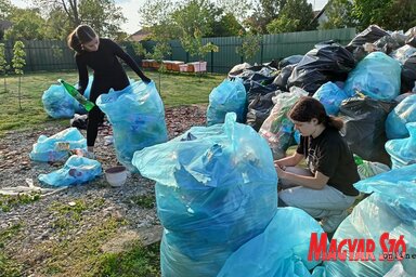 Több száz kilogramm szemét gyűlt össze az akción