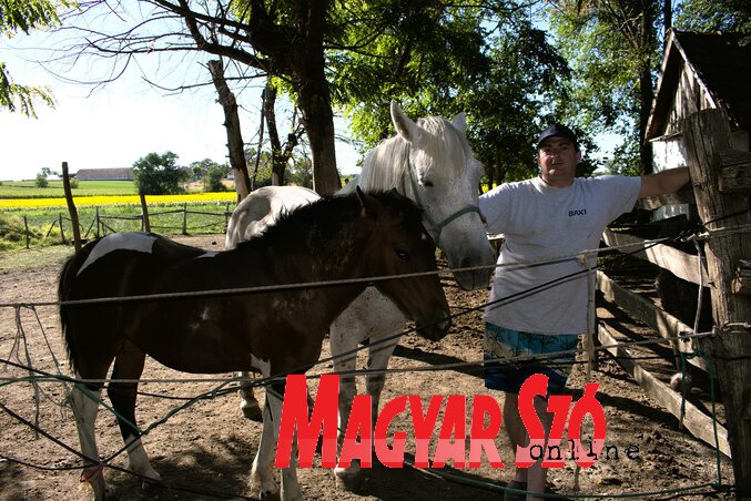 Tihamér a szeretett lovai társaságában (Fotó: Dér Dianna felvétele)