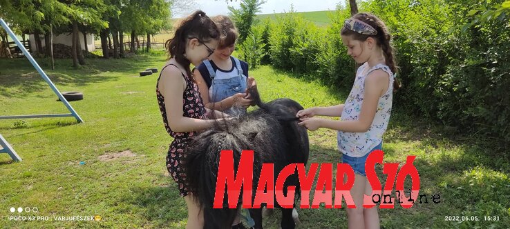 Közös élmények szerzése (Fotó: Dér Dianna felvétele) Közös élmények szerzése (Fotó: Dér Dianna felvétele)