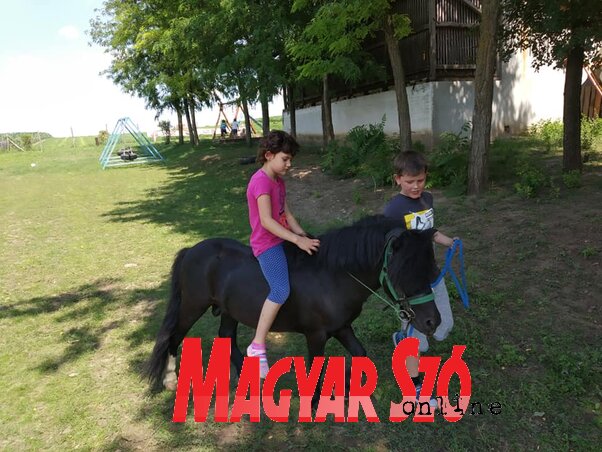 Egy kis lovaglás sem maradhat el (Fotó: Dér Dianna felvétele) Egy kis lovaglás sem maradhat el (Fotó: Dér Dianna felvétele)