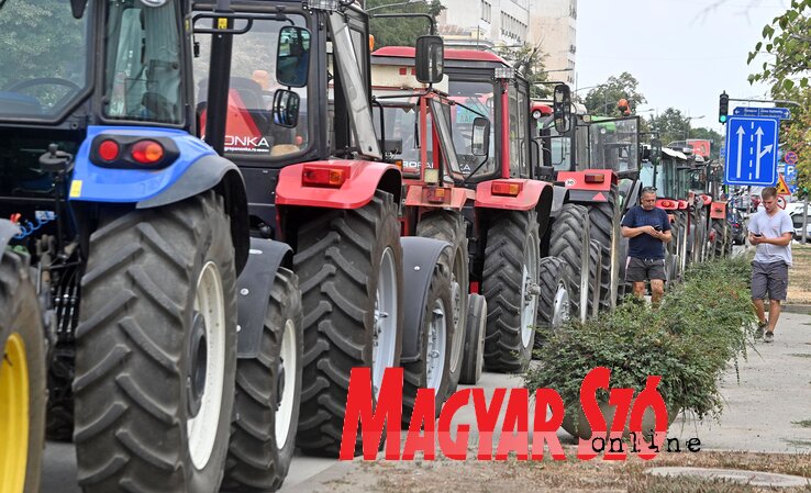 (Fotó: Ótos András)