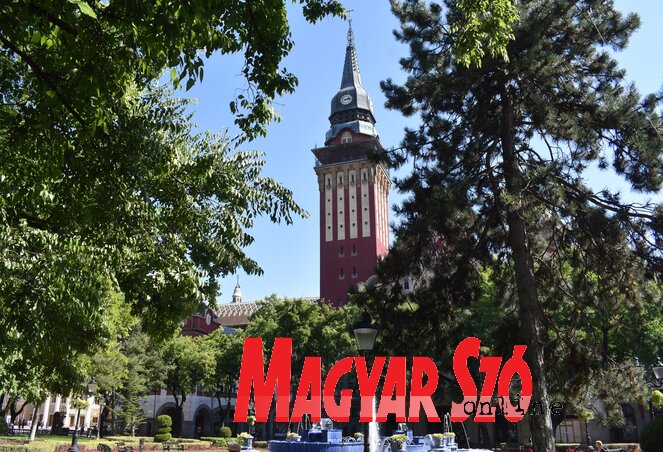 (Fotó: Patyi Szilárd) (Fotó: Patyi Szilárd)