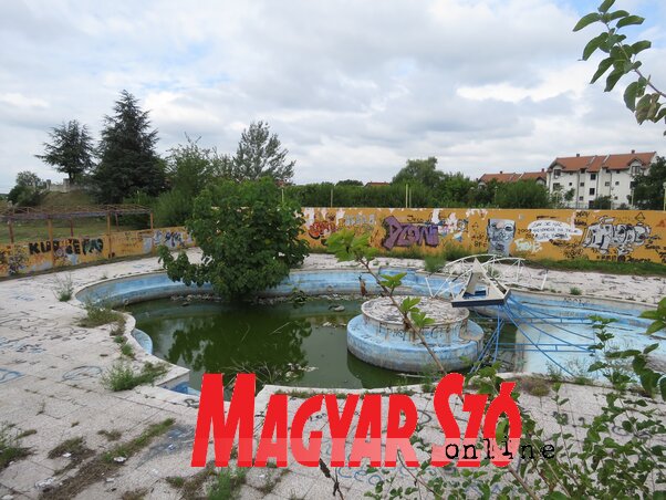 A medencét valamikor sós vízzel töltötték fel, ma viszont már a békákat sem érdekli (Fotó: Miklós Hajnalka)