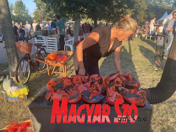 (Fotó: Magyar Szó) (Fotó: Magyar Szó)