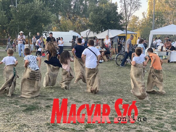 (Fotó: Magyar Szó) (Fotó: Magyar Szó)