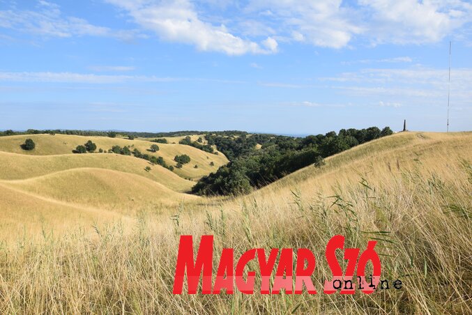 A delibláti vidék dünéit látni kell! (Fotó: Nagy Magdolna)