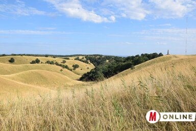 A delibláti vidék dünéit látni kell! (Fotó: Nagy Magdolna)