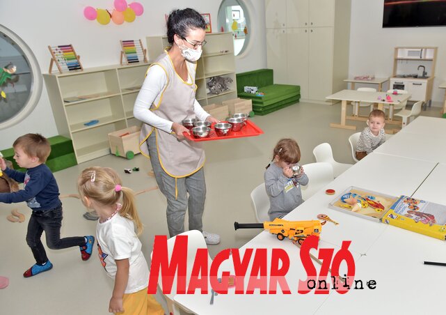 Fotó: Gergely Árpád Fotó: Gergely Árpád