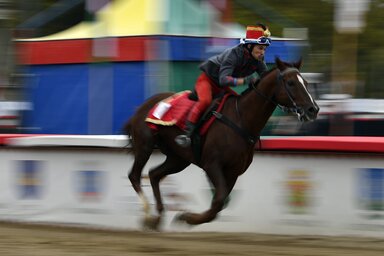 A ló nyergében a tavalyi győztes, Ördög Alen (Fotó: MTI)