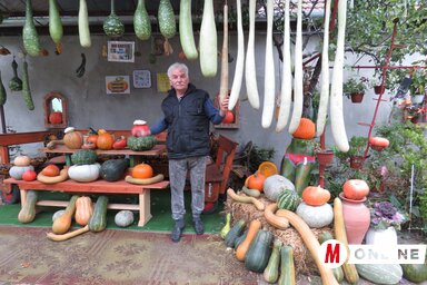 Miloš Ivanov az idei töktermés egy részével