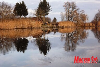 Ősz a vízparton (Fotó: Fekete J. József)