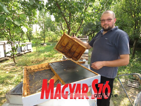 Lakatos Zsolt a méhesben Lakatos Zsolt a méhesben