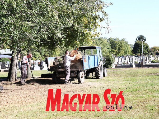 Folyamatban a gunarasi temető rendezése