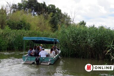 Bánát Amazóniájának is nevezik (Kecskés István felvétele)
